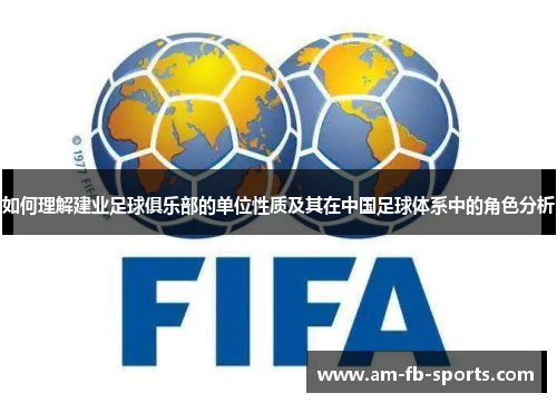 如何理解建业足球俱乐部的单位性质及其在中国足球体系中的角色分析