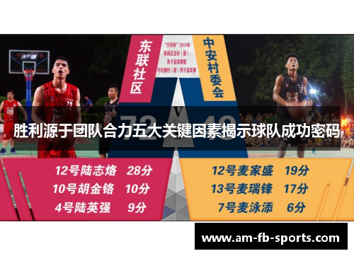 胜利源于团队合力五大关键因素揭示球队成功密码 胜利源于团队合力五大关键因素揭示球队成功密码