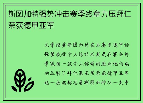 斯图加特强势冲击赛季终章力压拜仁荣获德甲亚军